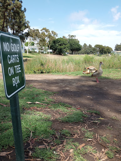 Golf Course «Bixby Village Golf Course», reviews and photos, 6180 Bixby Village Dr, Long Beach, CA 90803, USA