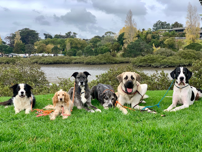 Reviews of Canine Counsellor in Whangarei - Dog trainer