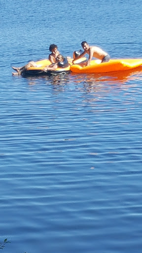 Park «Wildcat Lake County Park», reviews and photos, 9205 NW Holly Rd, Bremerton, WA 98312, USA