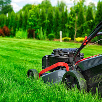 True Lawn Care & Landscaping LLC