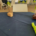 Photo n°6 de l'avis de Erica. fait le 22/10/2023 à 22:09 sur le  Ristorante Al Mare à Rosolina Mare