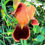 Photo n°13 de l'avis de Angelika. fait le 22/05/2022 à 18:21 sur le  Gut Heidefeld à Bocholt