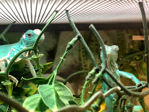 Pet Supply Store «Petco Animal Supplies», reviews and photos, 3637 2700 W, West Valley City, UT 84119, USA