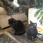 Photo n°1 de l'avis de Otto.� fait le 16/01/2020 à 21:34 sur le  Jagdschloss à Munich