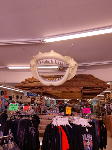 Gift Shop «Big Shark», reviews and photos, 2715 N Atlantic Ave, Daytona Beach, FL 32118, USA