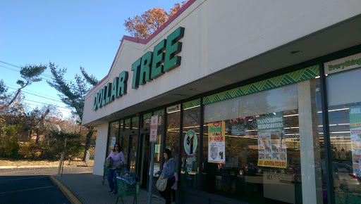 Dollar Store «Dollar Tree», reviews and photos, 3172 Middle Country Rd, Lake Grove, NY 11755, USA