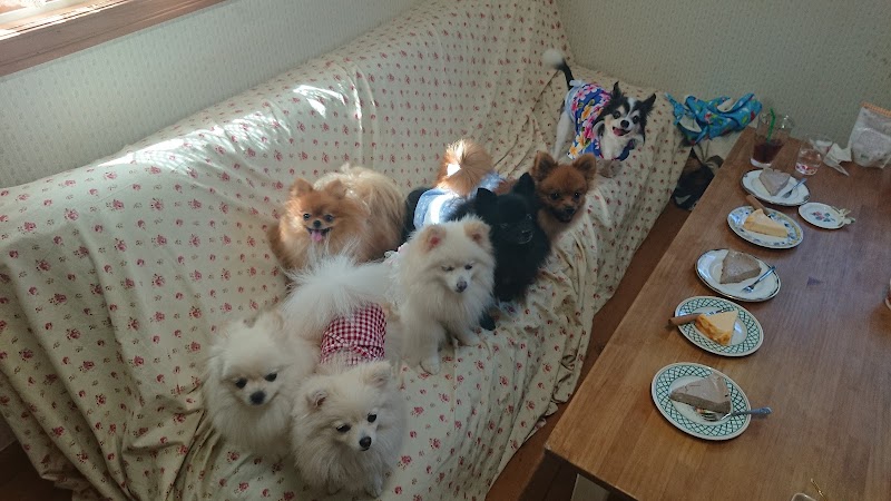 スケッチブック 東京都町田市金井 カフェ 喫茶 カフェ グルコミ