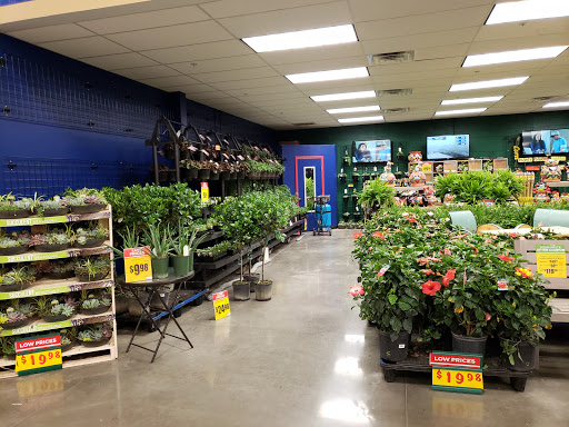 Grocery Store «H-E-B Grocery», reviews and photos, 3804 US-377, Granbury, TX 76049, USA