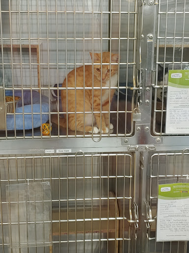 Pet Supply Store «PetSmart», reviews and photos, 215 N Burkhardt Rd, Evansville, IN 47715, USA