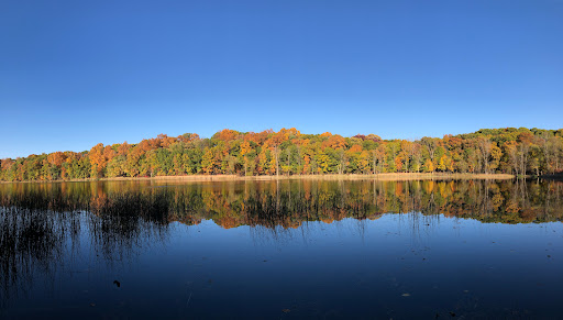 Nature Preserve «Asylum Lake Preserve», reviews and photos, 3836 S Drake Rd, Kalamazoo, MI 49008, USA