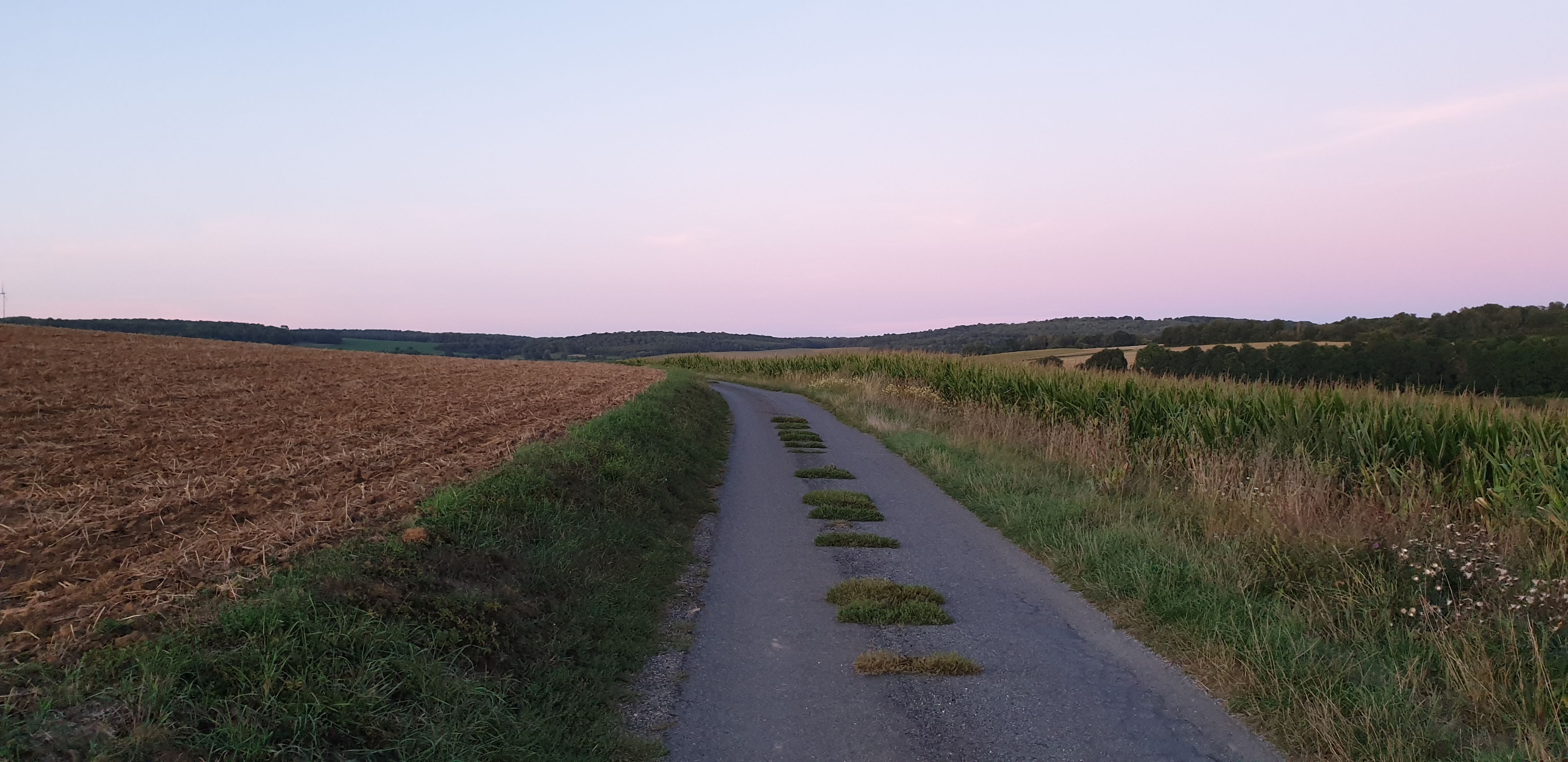 Photo n° 8 de l'avis de Gilles. fait le 28/08/2019 à 13:03