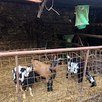 Photo n°11 de l'avis de Davide.m fait le 17/02/2024 à 17:50 sur le  La Colombara à Rivoli Veronese