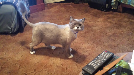 1716 5th St, Bedford, IN 47421, USA