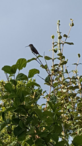 Botanical Garden «Conservation Garden Park», reviews and photos, 8275 1300 W, West Jordan, UT 84088, USA