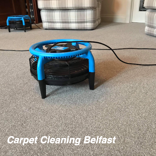 Comments and reviews of Elite cleaning services
