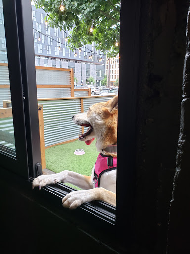 Pet Supply Store «Cycle Dog - Earth Friendly Pet Company», reviews and photos, 2215 NW Quimby St, Portland, OR 97210, USA