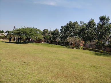 Google Maps image 28