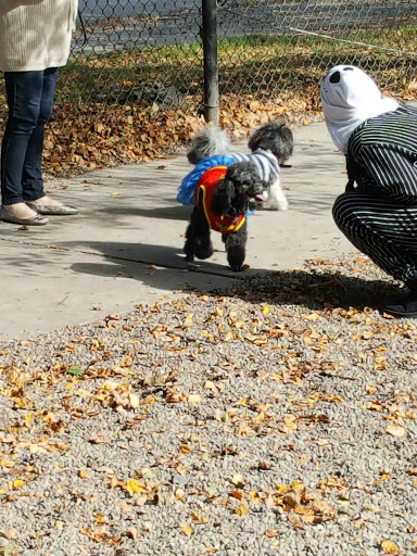 Dog Park «South Boston Bark Park», reviews and photos, 1280 Columbia Rd, Boston, MA 02127, USA