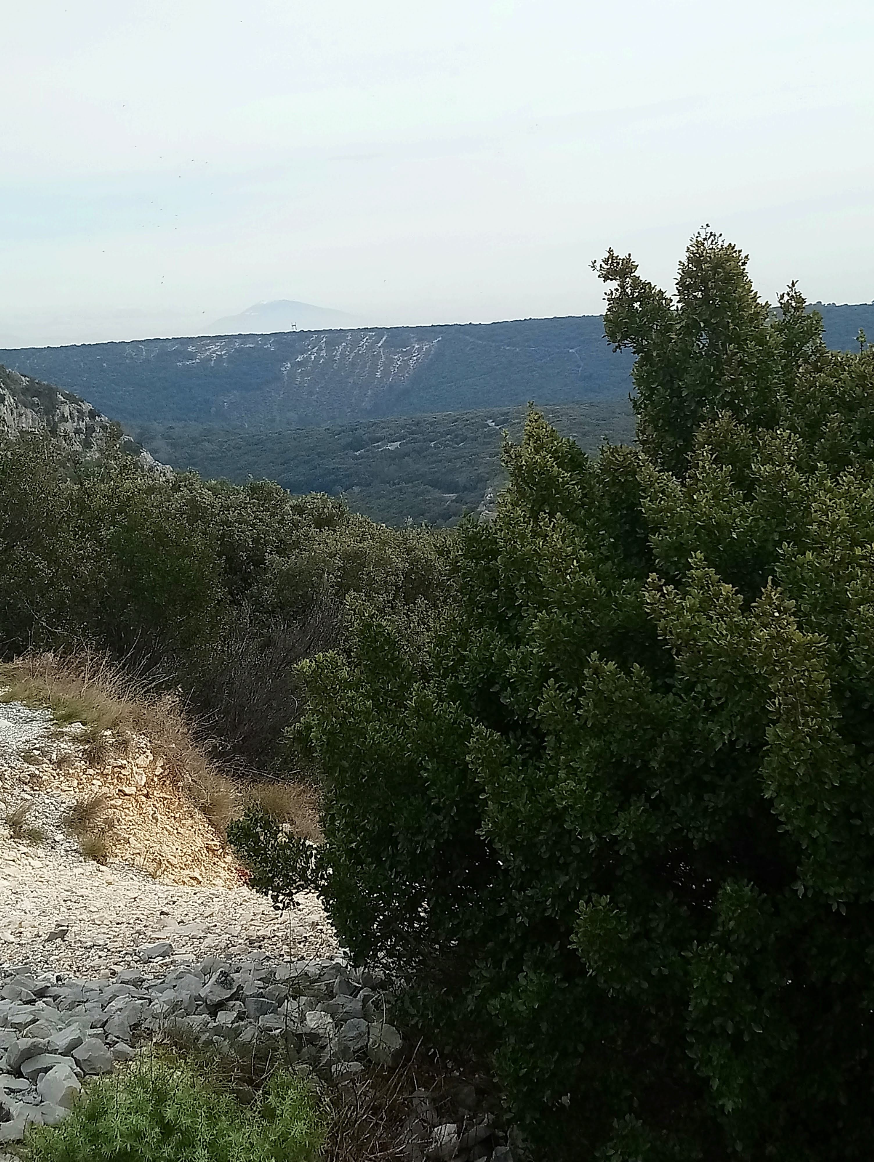 Photo n° 4 de l'avis de gerard.a fait le 14/02/2019 à 05:40