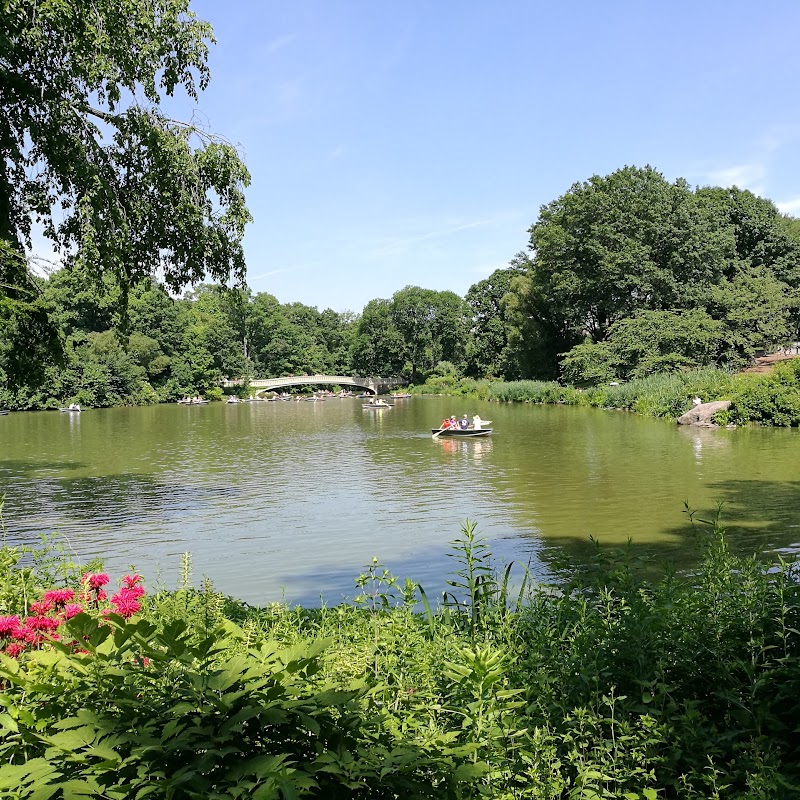 Theodore Roosevelt Park