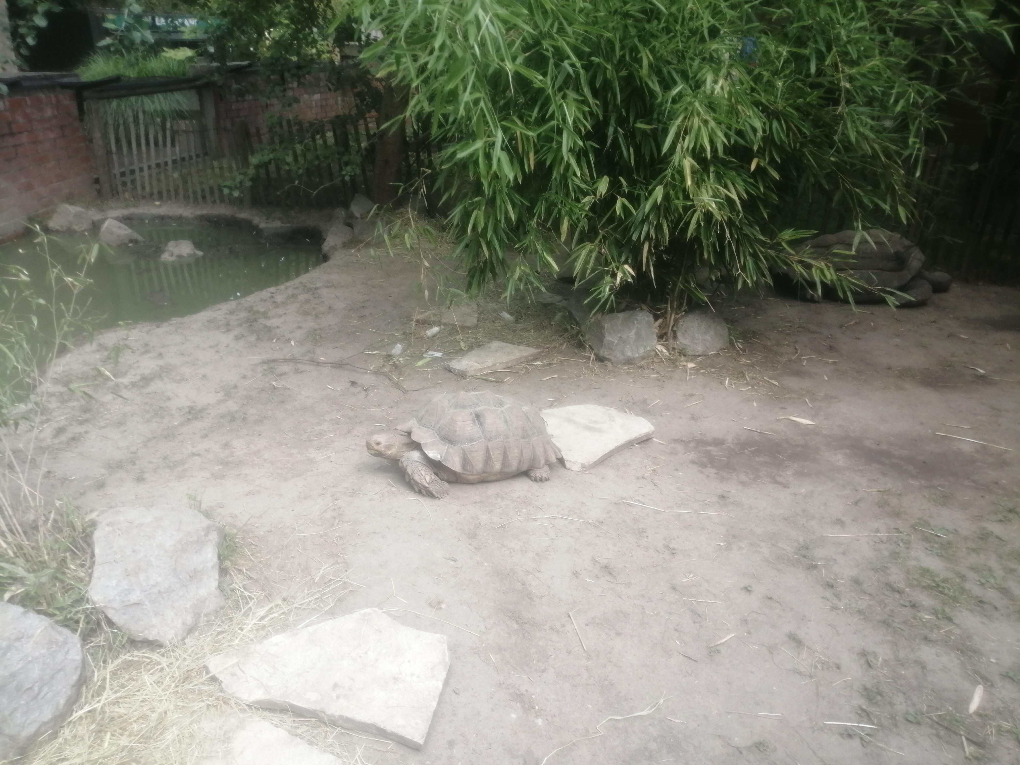 Photo n° 13 de l'avis de Paul.o fait le 08/08/2020 à 16:49