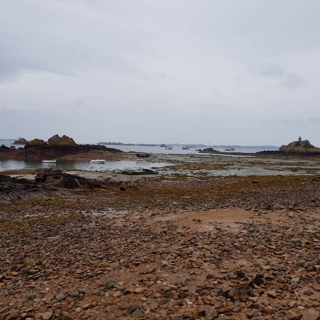 Photo n° 30 de l'avis de romain.a fait le 14/08/2018 à 21:18
