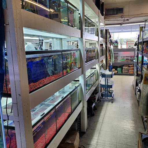 Pet Store «Pet Town», reviews and photos, 7804 Florence Ave, Downey, CA 90240, USA