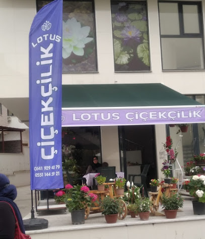 Lotus Çiçekçilik & Organizasyon