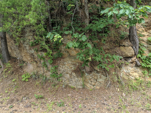 Tourist Attraction «Allatoona Lake Visitor Center & Museum», reviews and photos, 1138 GA-20 Spur, Cartersville, GA 30121, USA