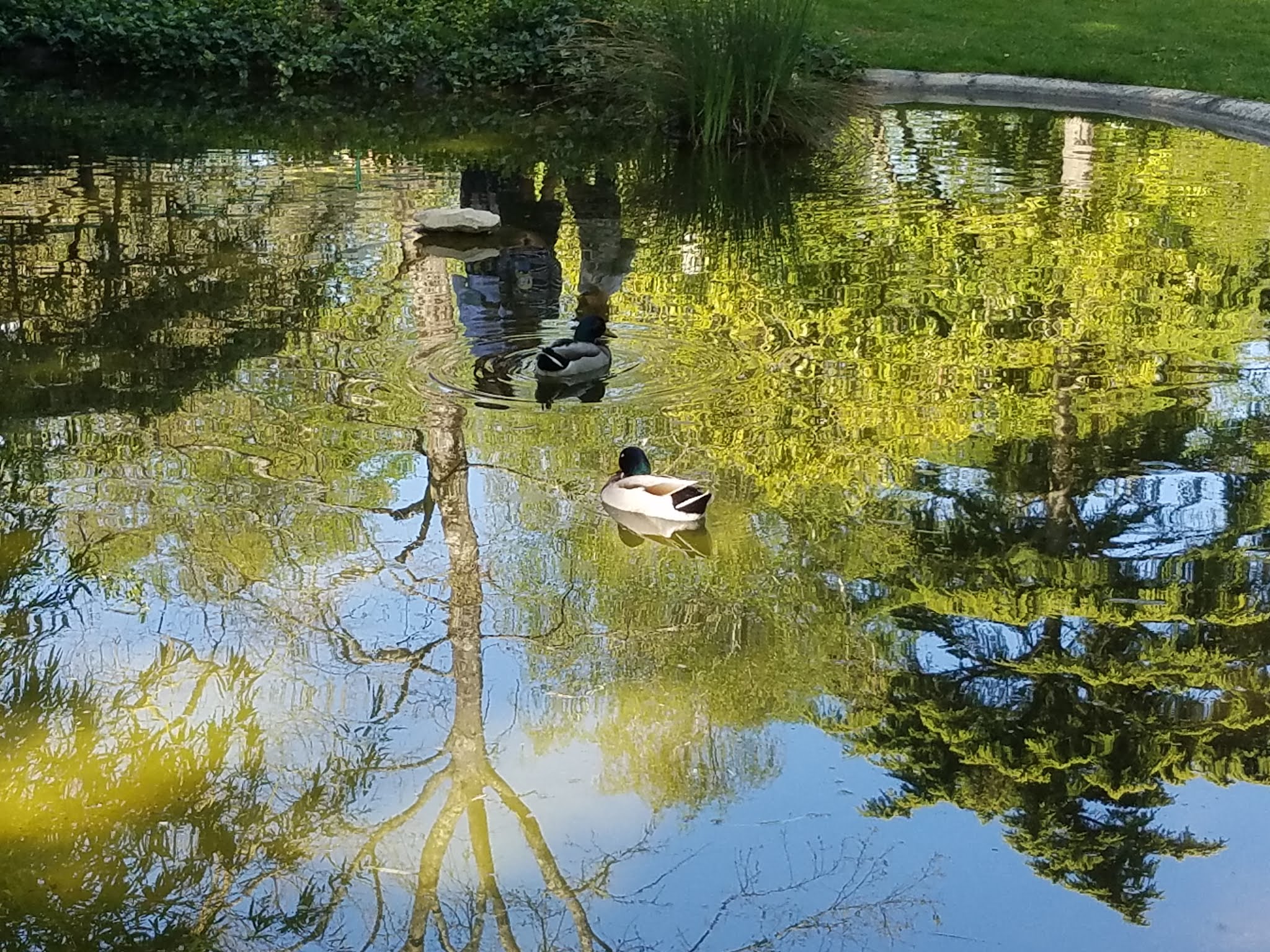 Photo n° 20 de l'avis de Elo.i fait le 14/09/2019 à 15:15