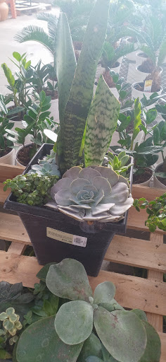 Home Improvement Store «The Home Depot», reviews and photos, 4829 US-90, Pace, FL 32571, USA