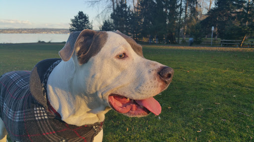 Park «Matthews Beach Park», reviews and photos, 5100 NE 93rd St, Seattle, WA 98115, USA