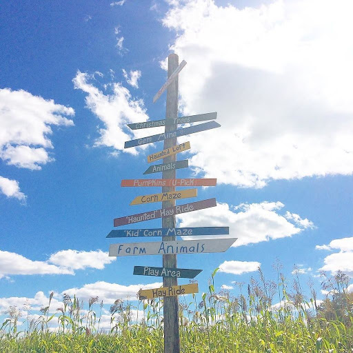 Christmas Tree Farm «Piney Acres», reviews and photos, 1115 E 1000 N, Fortville, IN 46040, USA