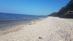 North Shore Beach'in fotoğrafı çok temiz temizlik seviyesi ile
