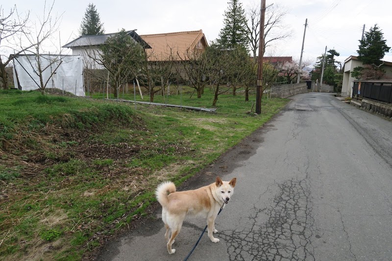 タガマヤ村座敷わらし 山形県中山町柳沢 ホテル グルコミ