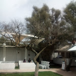 Photo n°2 de l'avis de Massimo.m fait le 26/08/2018 à 12:32 sur le  Mythos Garden Ristorante à Capaccio Paestum