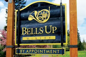 Bells Up Winery image