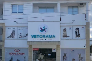 VETORAMA Veterinary Clinic image