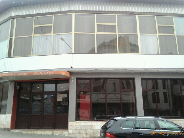 Opinii despre Restaurant SOHODOL în Târgu Jiu - Restaurant