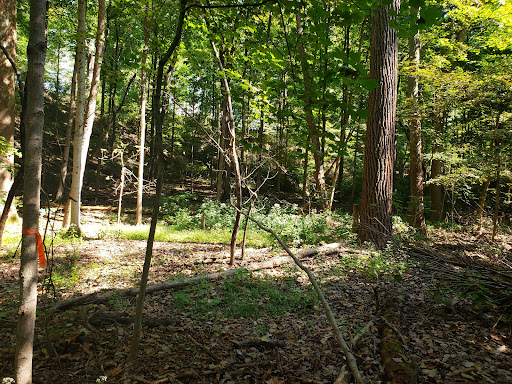 Golf Course «Delaware Golf Club», reviews and photos, 3329 Columbus Pike, Delaware, OH 43015, USA