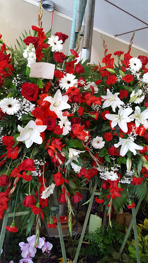 Florist «Fleur De Lis Florist», reviews and photos, 811 Castro St, Mountain View, CA 94041, USA