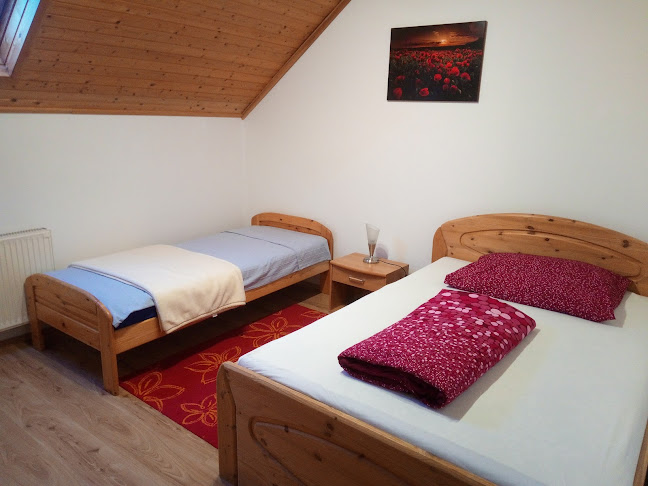 Comentarii opinii despre Violetta Guesthouse