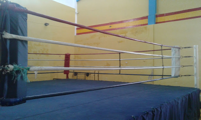 Kick Boxing Concentracion Deportiva De Pichincha - Escuela