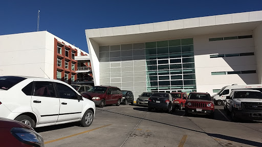 Escuela de acupuntura Chihuahua