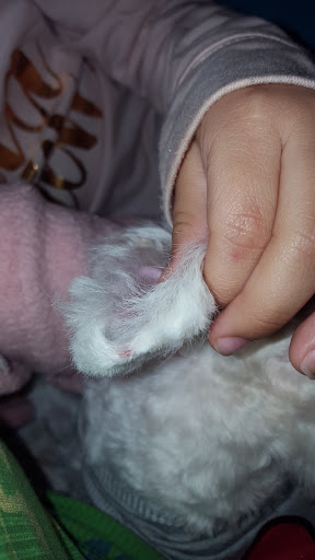 Pet Supply Store «Petco Animal Supplies», reviews and photos, 15475 Annapolis Rd #100, Bowie, MD 20715, USA