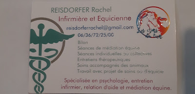 Equicie: les crins du lien à Sillegny