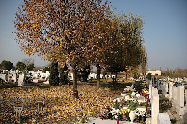 Rákospalotai temető