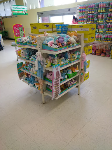 Dollar Store «Dollar Tree», reviews and photos, 5110 Pennell Rd, Media, PA 19063, USA