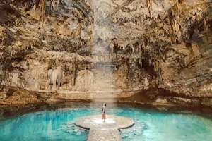 Exotik Mayan Tours image