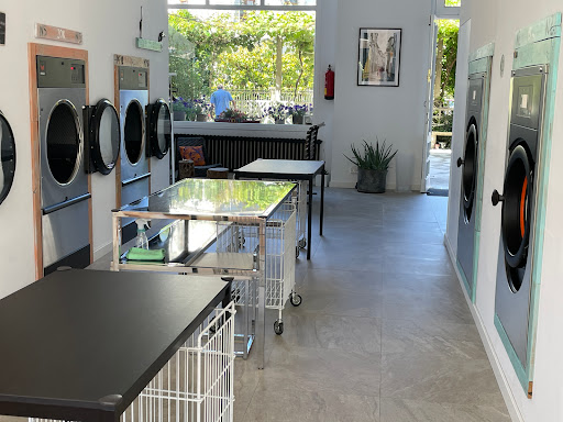 LAVANDEIRAS – ECOLAVANDERIA